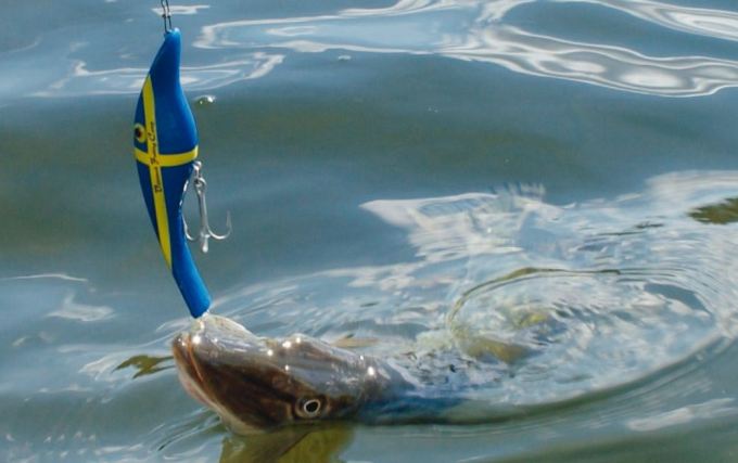 Schärengarten – Wir Fischer von Ingmarsö (2012/01, Fisch & Wasser)